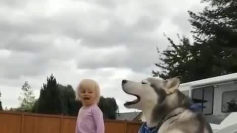 Funny moment with child and dog😂😂