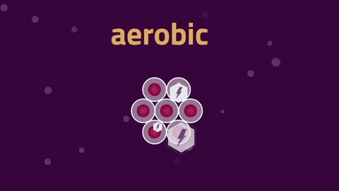 What Is Aerobic Respiration? | Physiology | Biology | FuseSchool