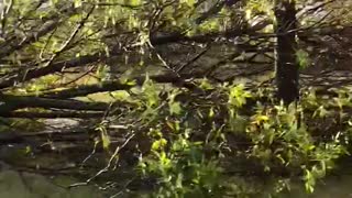 Close Encounter With Wisconsin Tornado