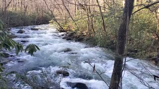 Smoky Mountain Stream