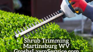 Shrub Trimming Martinsburg WV Landscaping Contractor