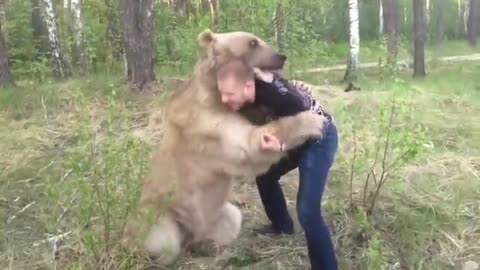 Russian guy plays with bear