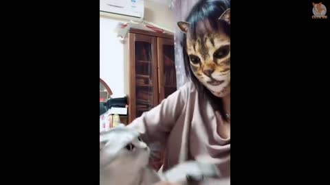 🤣Funny Dogs & Cats Scared Of Cat Mask Filter