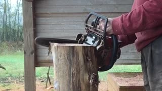 chainsaw carving a small bear