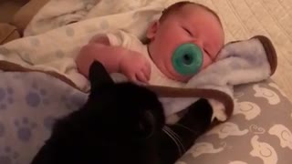 Black cat next to baby