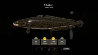 Russian Fishing 4 Sura River Burbot 3.29 Kg