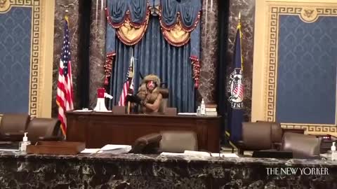 Calm Protesters Inside the Capitol Chambers With Officer?