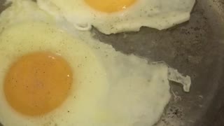 Eggs in a pan