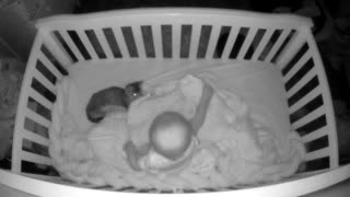 Kitten Climbs into Crib for Some Cuddles