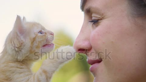 Adorable orange tabby kitten meows and gently touches the young woman's nose