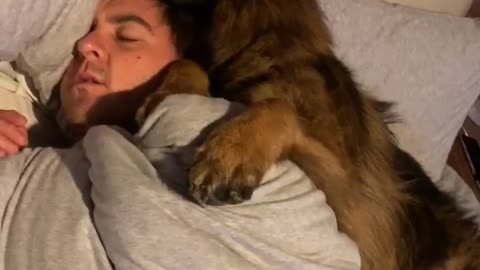 Dog Cuddles Dad