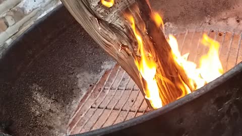 Fire log
