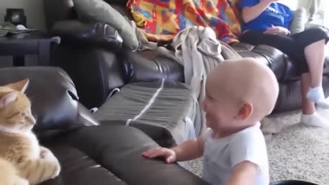 Cat and baby play