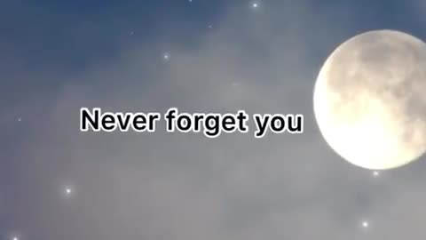 Never forget you (Zara lasson remix)