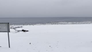 White beach in Sweden, snow and sea meets!