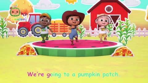 We're going to the Pumpkin patch 🎃🎃// Cocomelon