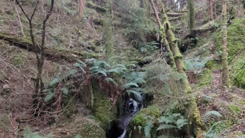 Devil's glenn waterfall