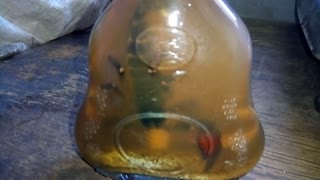Vietnamese tincture with scorpion and snake