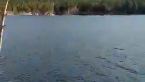 Енисей Yenisei river