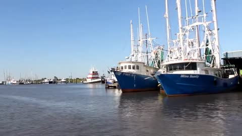 Louisiana Shrimp Boats