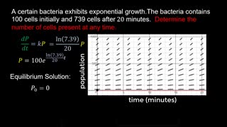 Exponential Population Growth Model