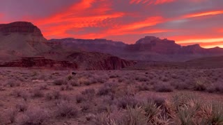 sunrise at curly's camp, Grand Canyon