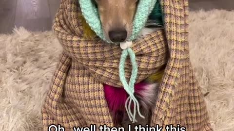 Me anytime it dips below freezing now.