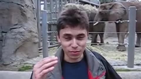 Boy making video Infront of elephants