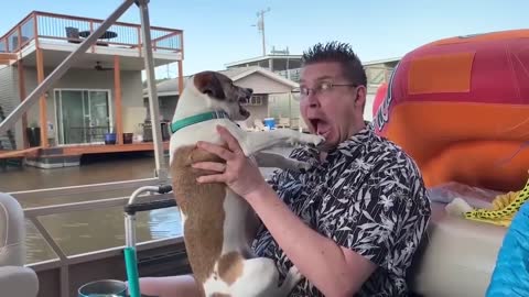 Funny Animals Reaction- Try Not To Laugh Dogs With Baby 2020 - Funny Video
