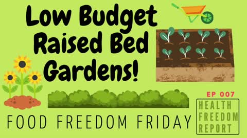 Low Budget Raised Bed Gardens - Ep 007