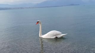 during the lockdown in Italy lake garda