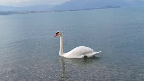 during the lockdown in Italy lake garda