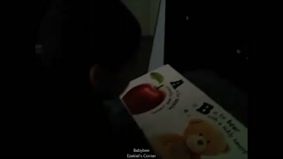 Baby memorizes his book at 20 months