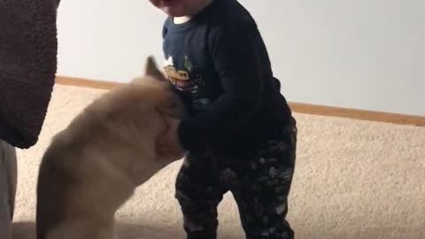Baby and puppy battle it out for toy dominance #2