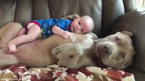 Babies sleeping with pitbull!!!!