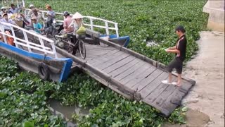Vietnam, Bình Dương, Thủ Dầu Một - Water weed on the Saigon River - 2014-02