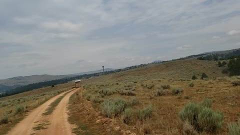 Hauling Cows Up The Mountain 5