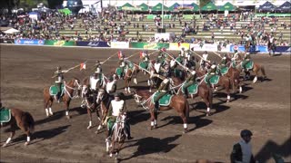 Green Panel of Carabineros in Chile