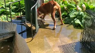 Paisley experiences water