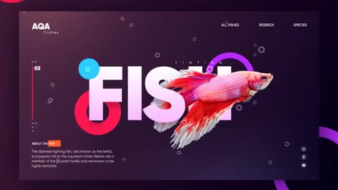 fish website design