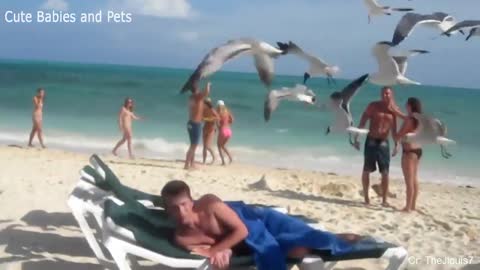 Boy wakes up and panics because of seagulls