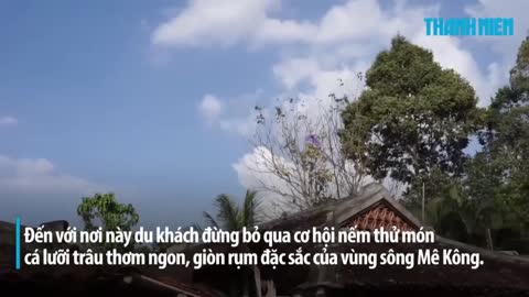 cá lưỡi trâu chiên giòn