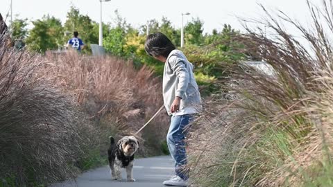 Little Boy Running with His Dog