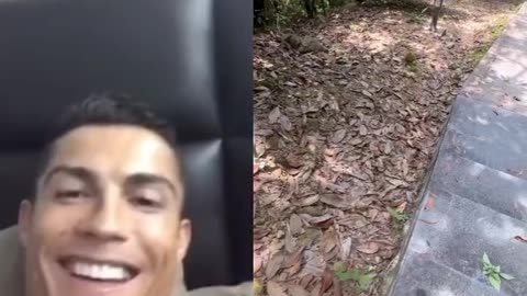 Ronaldo Reaction part 1