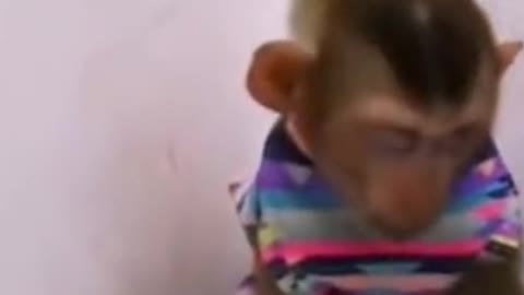 Funny monkey like adorable baby