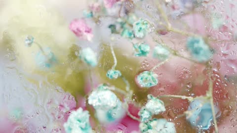 Water Droplets on Tiny Flowers