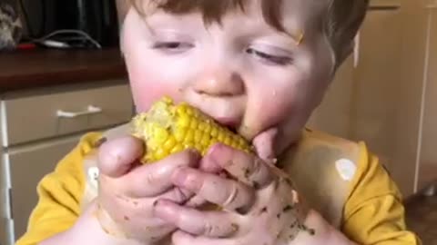 Sleepy Sweetcorn Snacker Can Barely Stay Awake To Finish