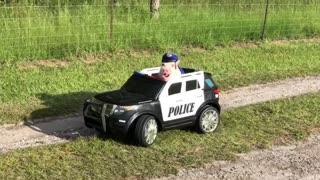 Piggy Pulled Over