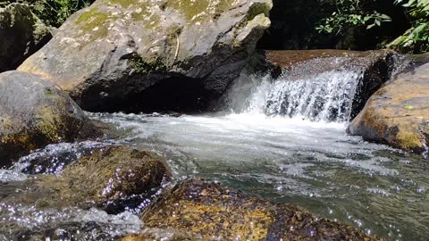 Som de Cachoeira e Pássaros - Para Relaxar, Dormir e Tranquilizar 🍃🍂🌾