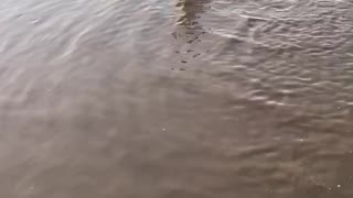 Toddler does love splashing around